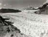 Muir_glacier_1941.jpg (44255 个字节)