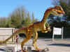 dilophosaurus2.jpg (98259 个字节)