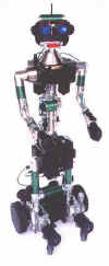 viva_robot.jpg (15002 バイト)